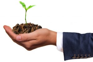 چند توصیه ساده برای کسب و کار شما