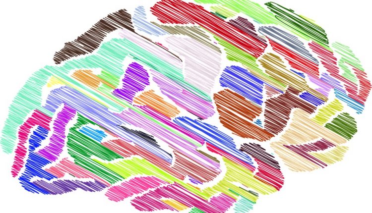 با مغز خزنده تا بازاریابی