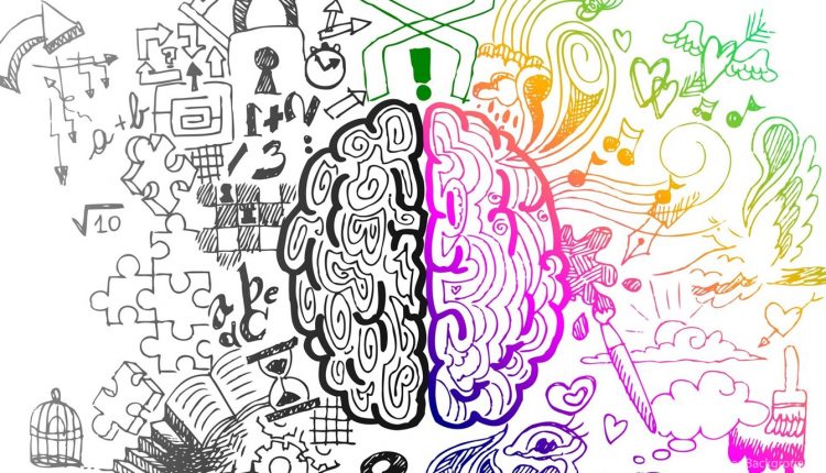 از نیمکره های چپ و راست مغز تا تصمیم خرید