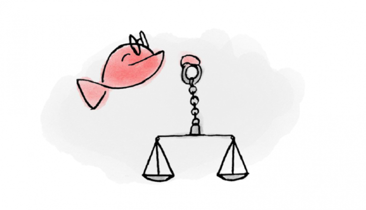 آموزش فروش حرفه ای: ارزیابی و تصمیم گیری های بهتر