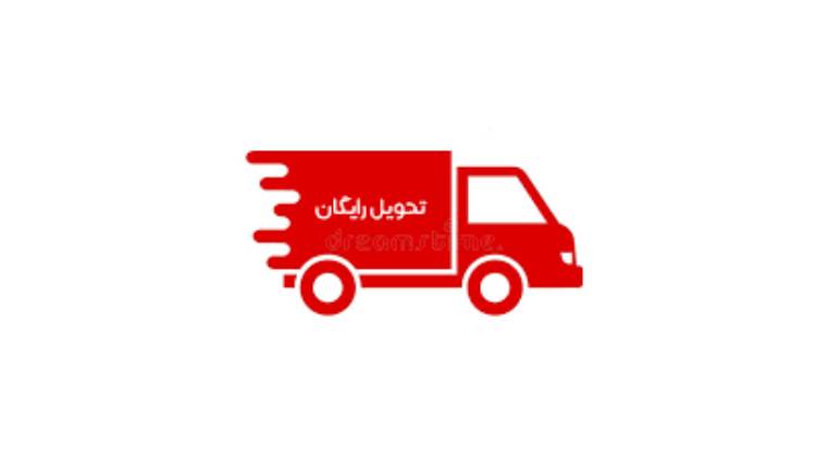 تاثیر حمل و نقل رایگار در افزایش فروش