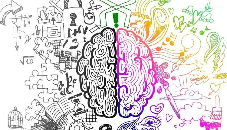 از نیمکره های چپ و راست مغز تا تصمیم خرید