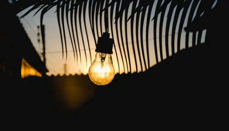 سرنخ های فروش را به صورت ساده و رایگان پیدا کنید