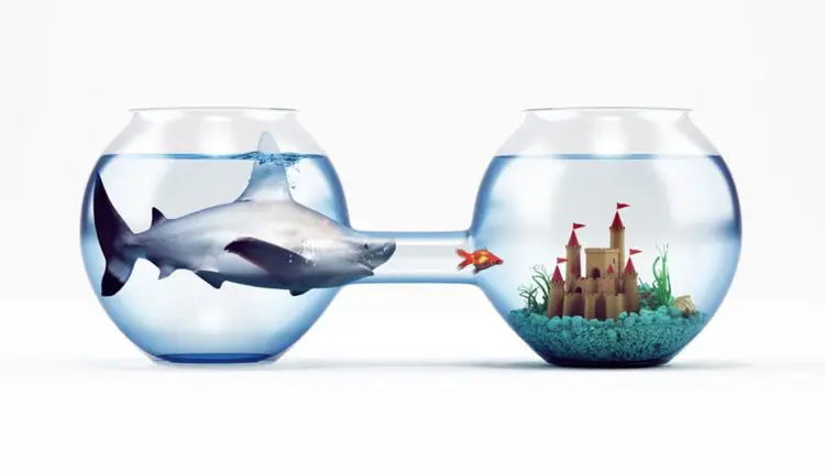 بازاریابی کمینی ؛ پیروز جنگ میان برندهای محبوب