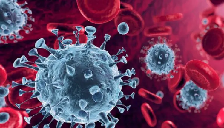 آیا ثبت شرکت در بحبوحه کرونا مناسب است؟